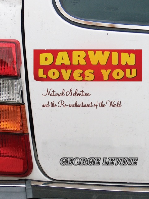 Cover image for book Darwin Loves You
