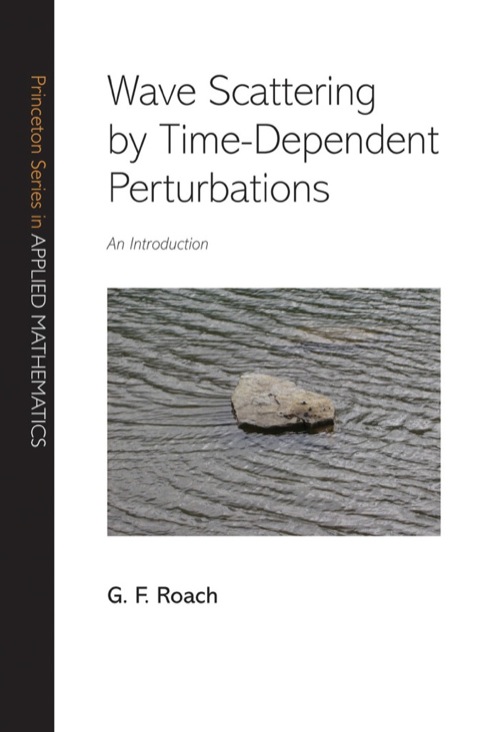 Cover image for book Wave Scattering by Time-Dependent Perturbations