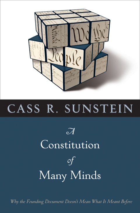 Cover image for book A Constitution of Many Minds