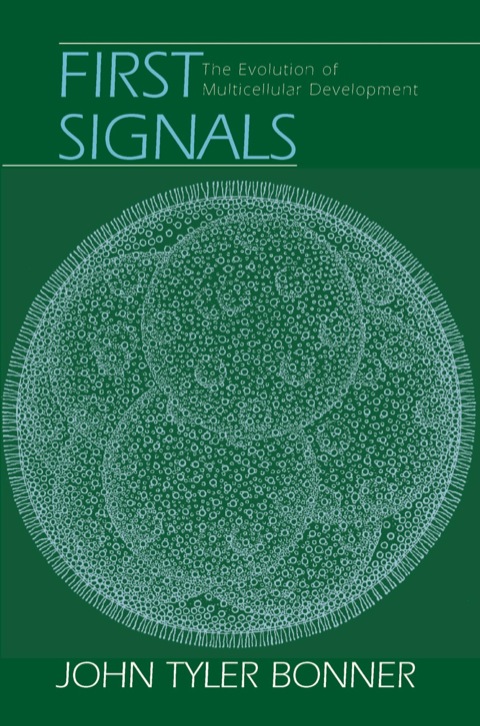 Cover image for book First Signals