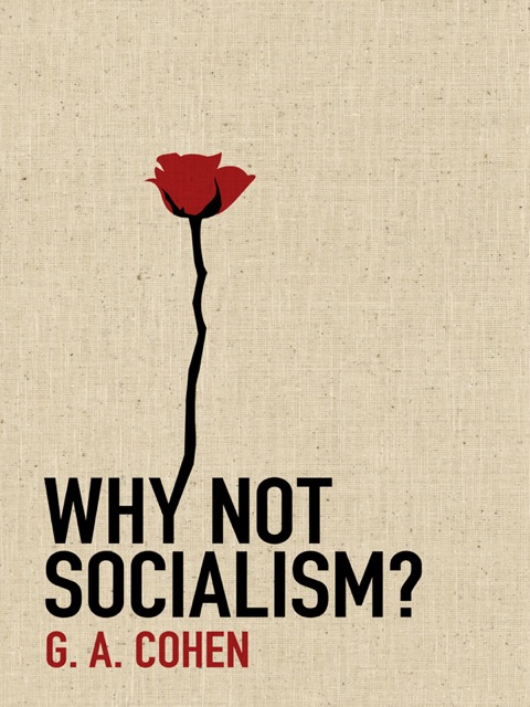 Cover image for book Why Not Socialism?