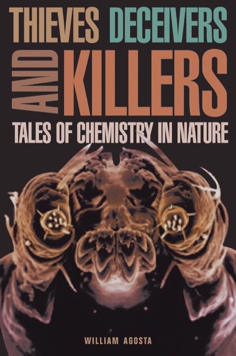 Cover image for book Thieves, Deceivers, and Killers