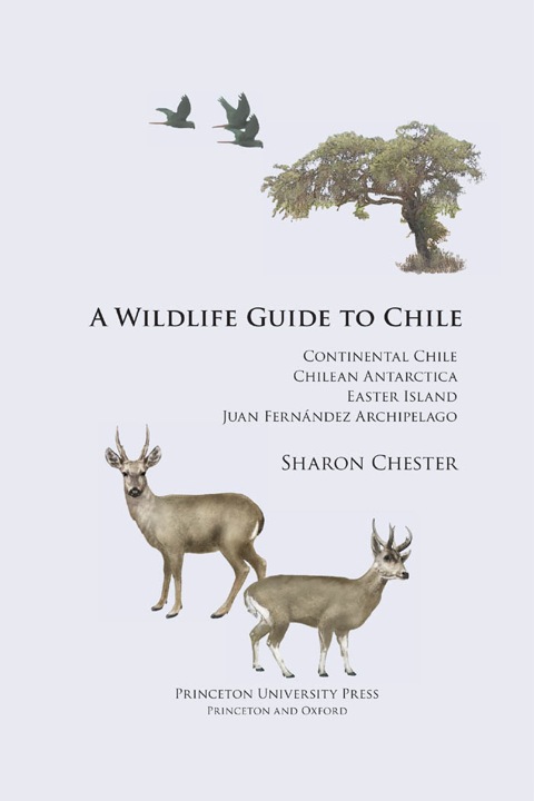 Cover image for book A Wildlife Guide to Chile