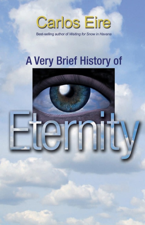 A Very Brief History of Eternity 