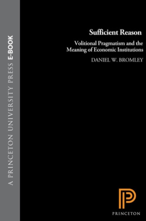 Cover image for book Sufficient Reason