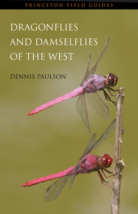 Dragonflies and Damselflies of the West 
