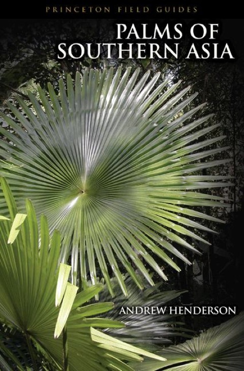 Cover image for book Palms of Southern Asia