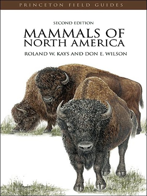 Mammals of North America 