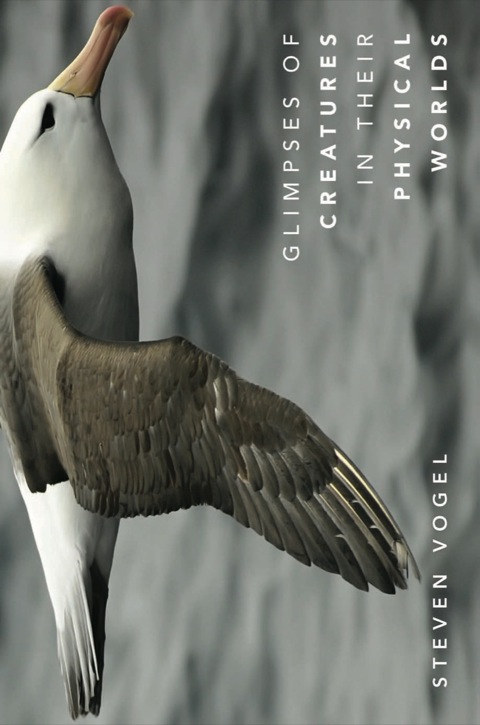 Cover image for book Glimpses of Creatures in Their Physical Worlds