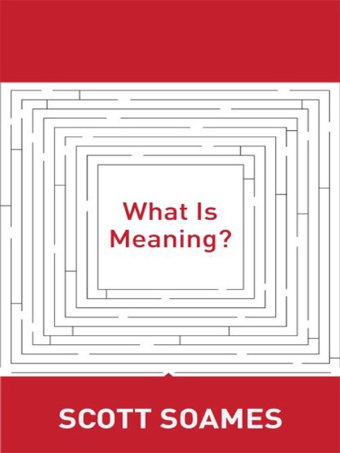 Cover image for book What Is Meaning?