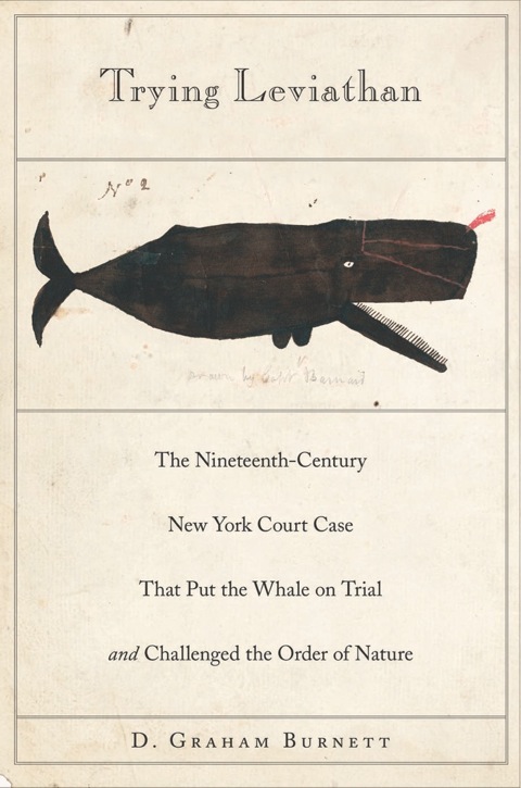 Cover image for book Trying Leviathan