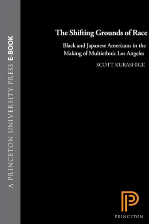 Cover image for book The Shifting Grounds of Race
