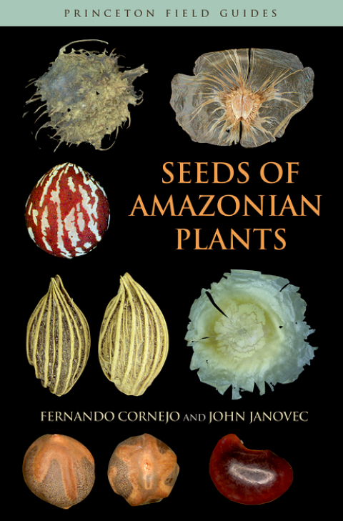 Cover image for book Seeds of Amazonian Plants