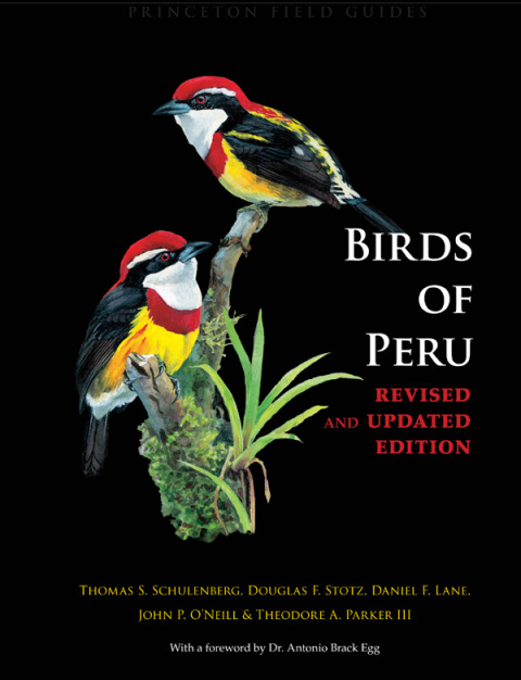 Cover image for book Birds of Peru