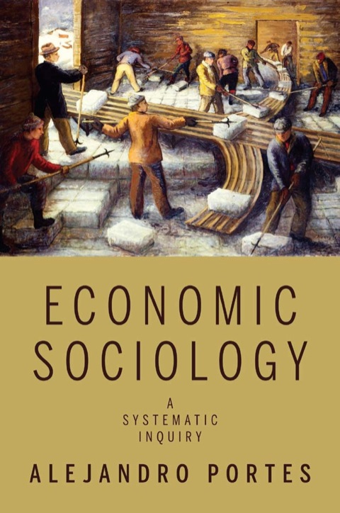 Cover image for book Economic Sociology