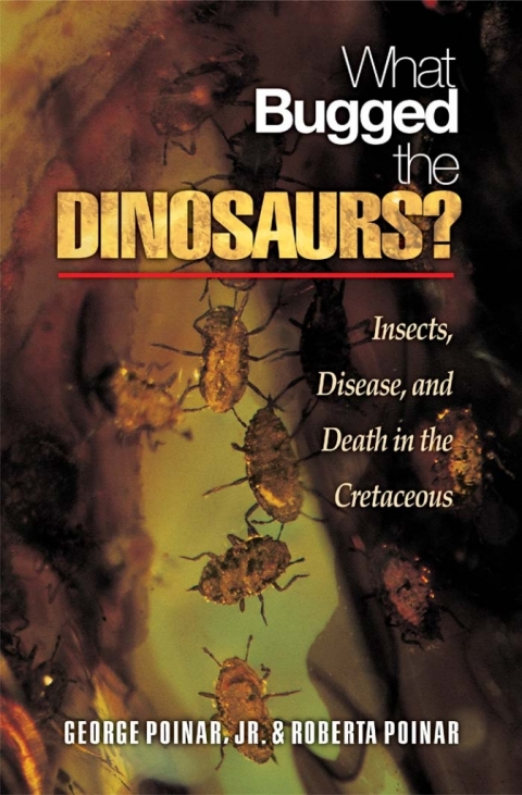 Cover image for book What Bugged the Dinosaurs?