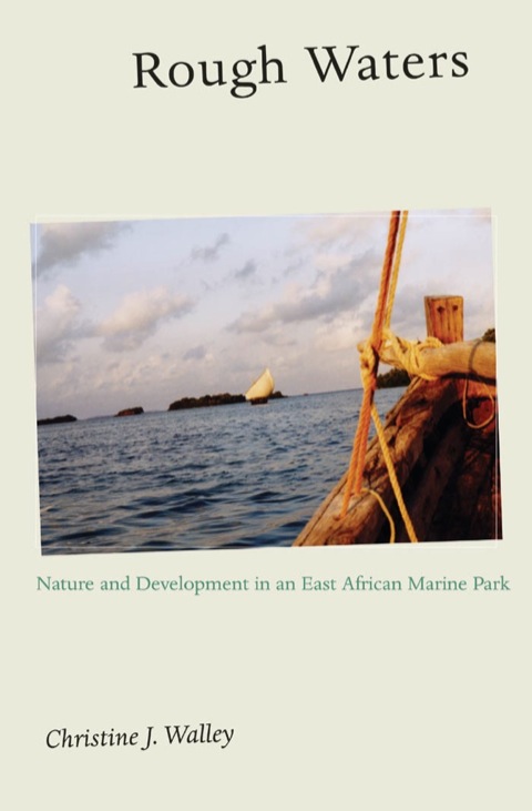 Cover image for book Rough Waters