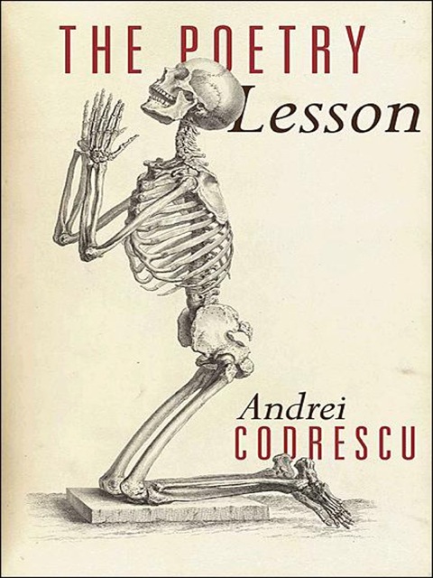 Cover image for book The Poetry Lesson