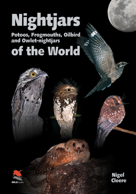 Cover image for book Nightjars, Potoos, Frogmouths, Oilbird, and Owlet-nightjars of the World