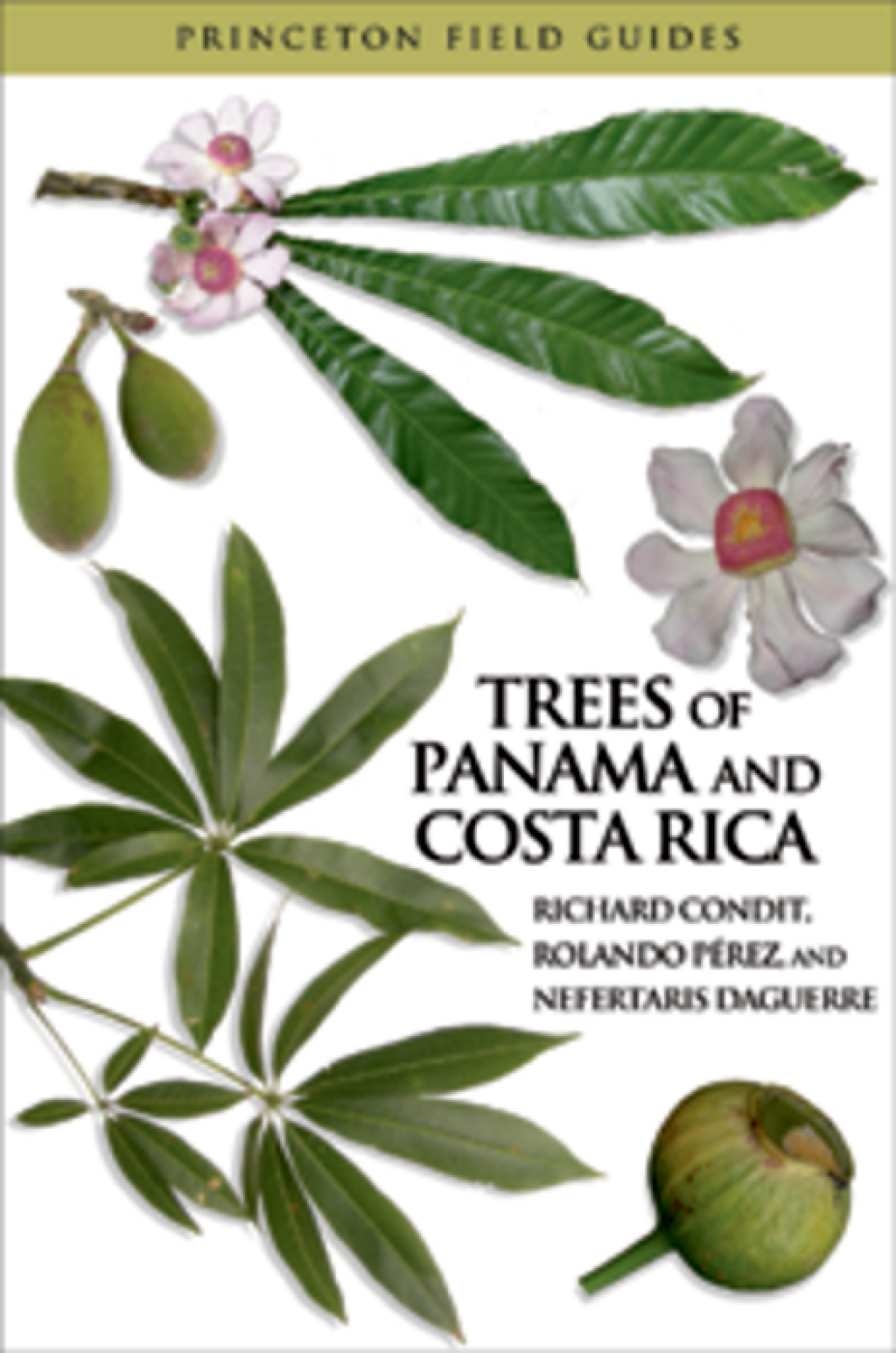 Trees of Panama and Costa Rica (eBook) - Richard Condit; Rolando PÃ©rez; Nefertaris Daguerre,