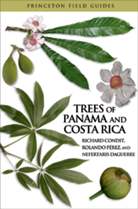 Cover image for book Trees of Panama and Costa Rica