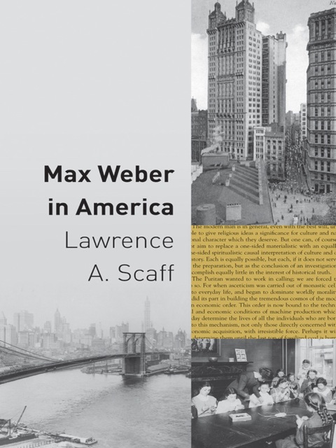 Cover image for book Max Weber in America