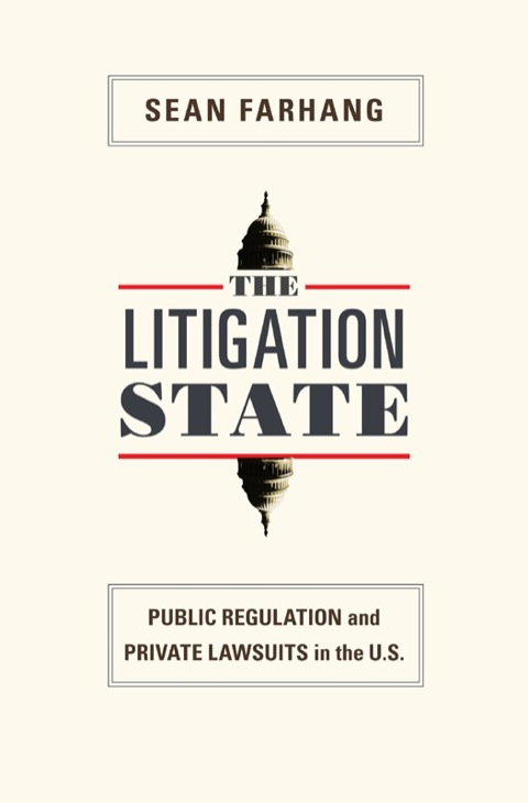 Cover image for book The Litigation State