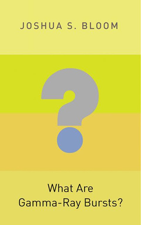 Cover image for book What Are Gamma-Ray Bursts?