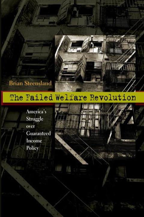 Cover image for book The Failed Welfare Revolution