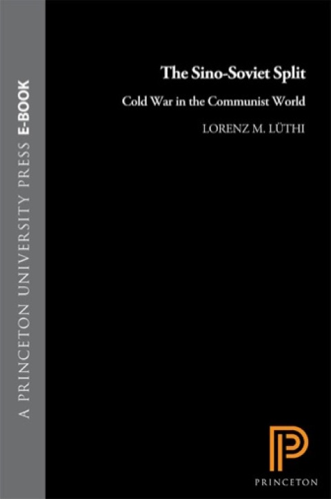 Cover image for book The Sino-Soviet Split