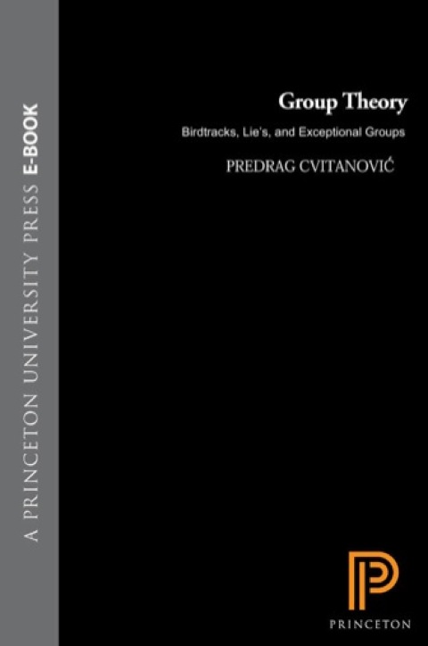 Cover image for book Group Theory