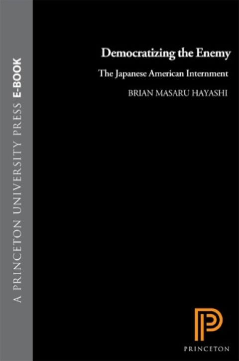 Cover image for book Democratizing the Enemy