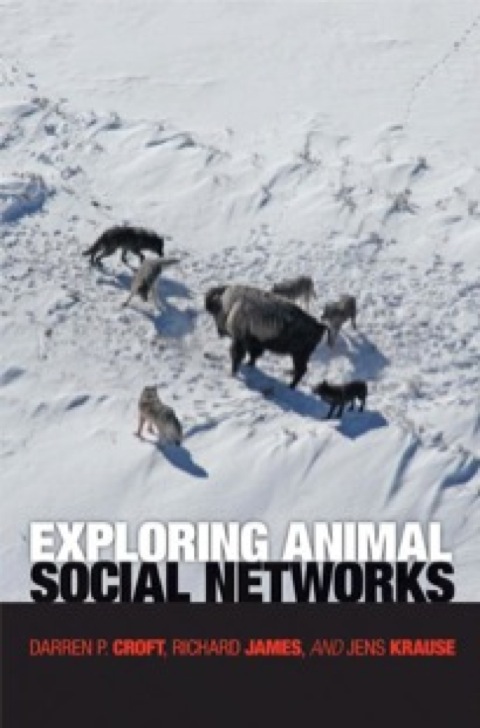 Exploring Animal Social Networks 
