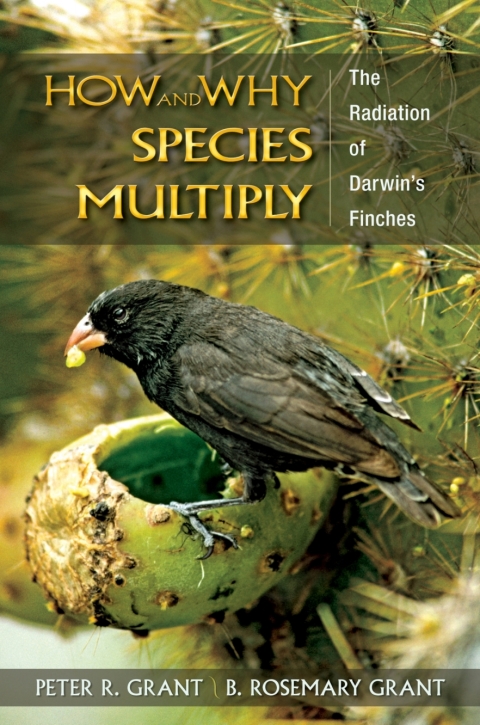 How and Why Species Multiply 