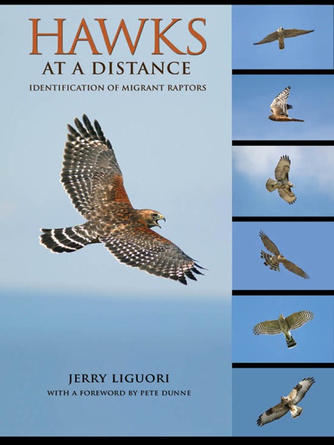 Cover image for book Hawks at a Distance
