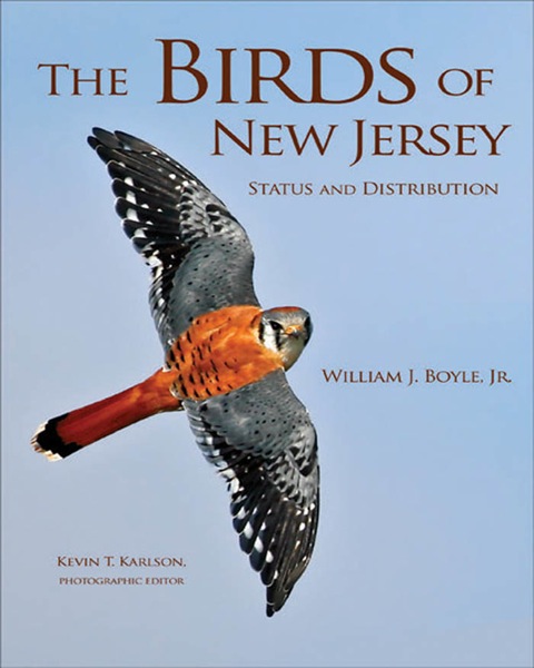 Cover image for book The Birds of New Jersey