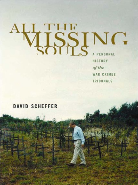 Cover image for book All the Missing Souls