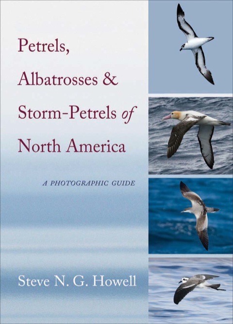 Cover image for book Petrels, Albatrosses, and Storm-Petrels of North America