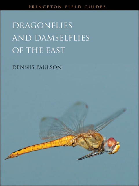 Dragonflies and Damselflies of the East 