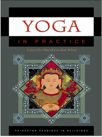Cover image: Yoga in Practice 9780691140858