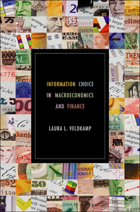 Cover image for book Information Choice in Macroeconomics and Finance