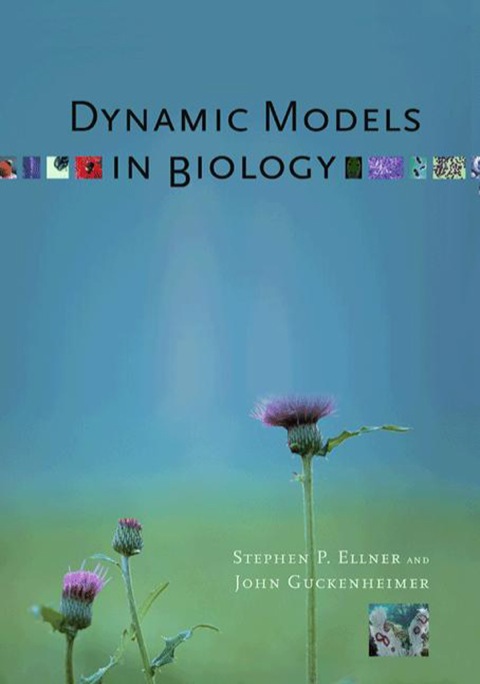 Cover image for book Dynamic Models in Biology