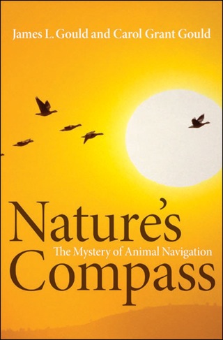 Nature's Compass