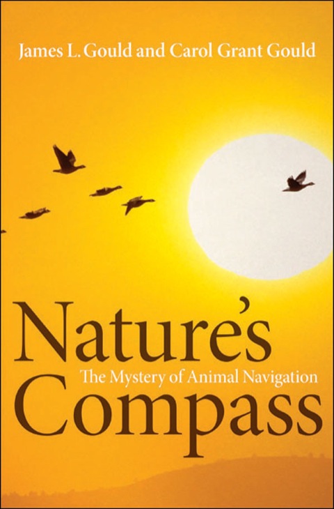 Nature's Compass 