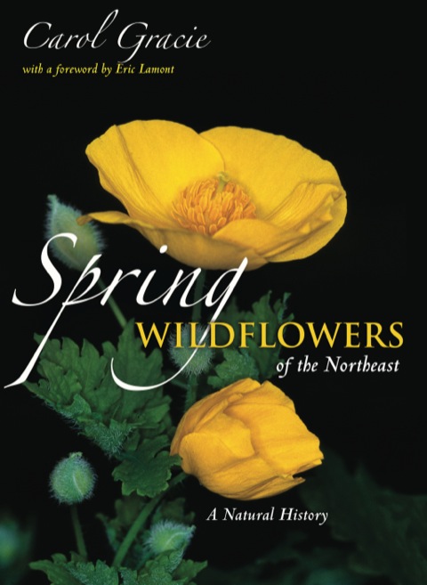Cover image for book Spring Wildflowers of the Northeast