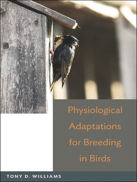 Cover image for book Physiological Adaptations for Breeding in Birds