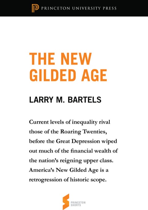 Cover image for book The New Gilded Age