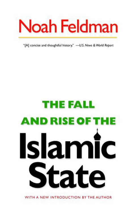 Cover image for book The Fall and Rise of the Islamic State