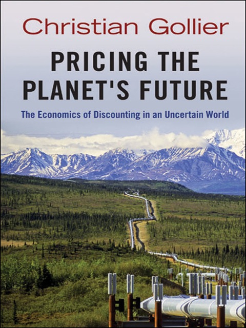 Cover image for book Pricing the Planet's Future