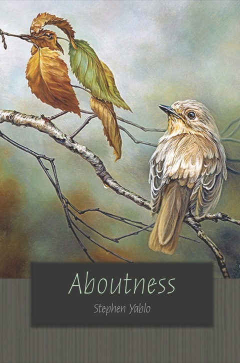 Cover image for book Aboutness